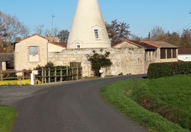 Tour Wandern Lys-Haut-Layon - Tancoigné - Photo