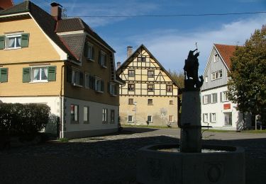 Tocht Te voet Argenbühl - Wanderung Panoramahöhenweg durch Wald und Flur (Argenbühl: 8) - Photo