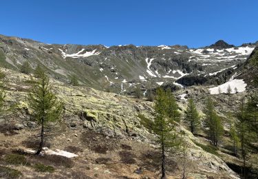 Trail sport Saint-Étienne-de-Tinée - Lacs de Vens  - Photo