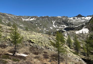 Excursión sport Saint-Étienne-de-Tinée - Lacs de Vens  - Photo