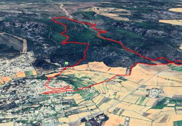 Trail Walking Seillons-Source-d'Argens - Trace_Seillons - Photo