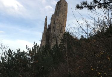 Tour Wandern Saint-Benoit-en-Diois - montagne de Faraud - Photo