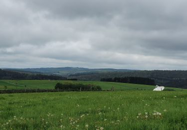 Tour Wandern Libin - rando redu  11-05-2023 - Photo