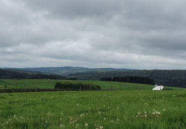 Tocht Stappen Libin - rando redu  11-05-2023 - Photo