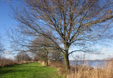 Tocht Te voet Wijdemeren - Ankeveense Plassen - Photo