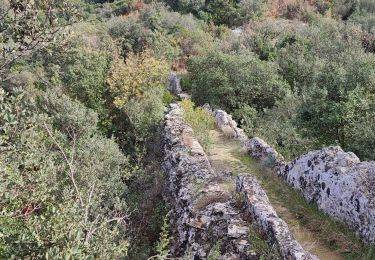 Tour Wandern Sernhac - Sernhac aqueduc tunnels Pont  - Photo