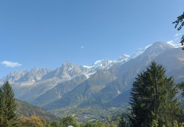 Randonnée Marche Les Houches - 20231008 Les Houches Vaudagne Charousse - Photo