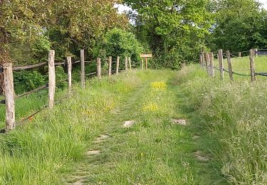 Randonnée A pied Montigny-Lengrain - Les-hameaux-de-Montigny - Photo