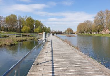 Tocht Stappen Straatsburg - La ceinture verte de Strasbourg - Photo