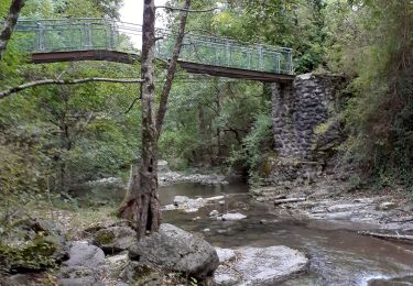 Excursión Senderismo Saint-Gineys-en-Coiron - Claduégne - Photo