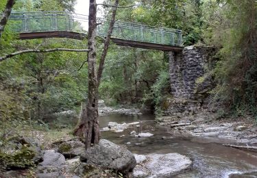 Tour Wandern Saint-Gineys-en-Coiron - Claduégne - Photo