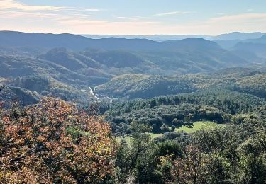 Tour Wandern Saint-Sébastien-d'Aigrefeuille - st Sébastien d'Aigrefeuille - Photo