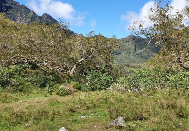 Trail Walking La Possession - marlat parking col des boeufs - Photo