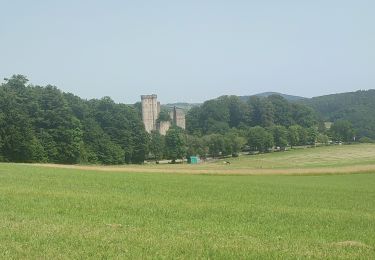 Randonnée Marche Gerolstein - Eifelsteig Gerolstein - Photo