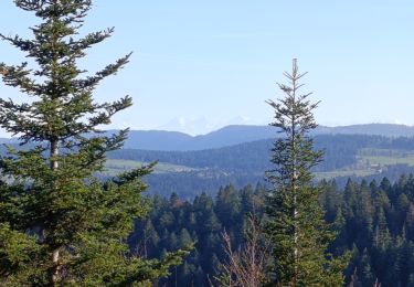 Randonnée Marche Grand'Combe-Châteleu - Mont Chateleu  - Photo