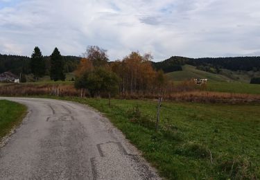 Tour Wandern La Pesse - la Pesse  - Photo