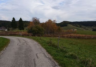 Trail Walking La Pesse - la Pesse  - Photo