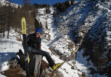 Percorso A piedi Tesero - Sentiero attrezzato delle Dolae - Photo