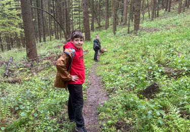 Percorso sport Griesbach-au-Val - Griesbach au val  - Photo
