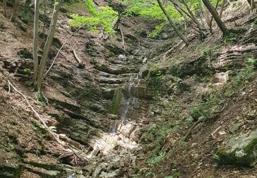 Tocht Stappen Albese con Cassano - Monte bolettone - Photo