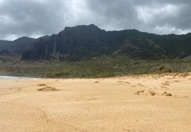 Tour Wandern Nuku Hiva - Haatuatua - Photo