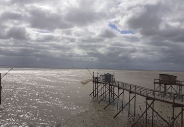 Randonnée Marche Saint-Froult - saint froult - Photo