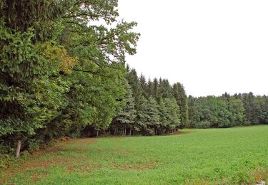 Tocht Te voet Sankt Stefan ob Stainz - GenussSchilchern da Östliche Runde - Photo