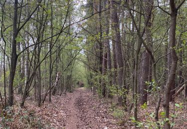 Randonnée Marche Villers-la-Ville - Promenade par les chemins de traverse de Sart-Dames-Avelines - Photo