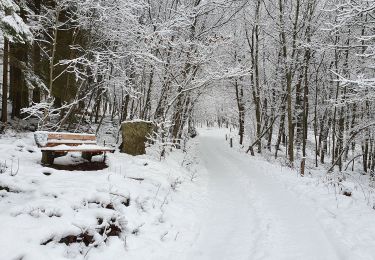 Trail Walking Malmedy - SityTrail - Xhoffrais 8-09-2020 - Photo