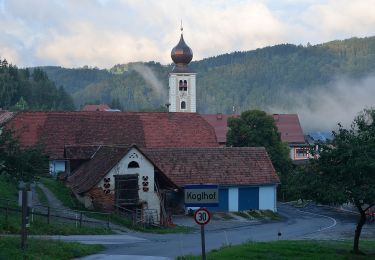 Percorso A piedi Birkfeld - Genussrundwanderweg Koglhof - Sallegg - Photo