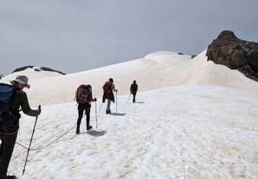 Randonnée Marche Ormont-Dessus - 2024-07-14 Marche Suisse Diablerets Sommet Glacier des Diablerets - Photo