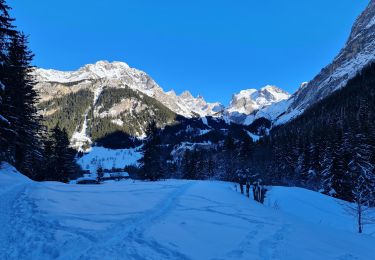 Tocht Sneeuwschoenen Pralognan-la-Vanoise - Pont de Gerlon - Photo