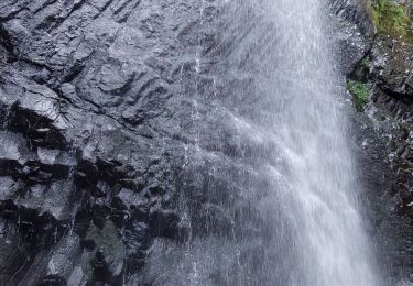 Trail Walking Mont-Dore - LES CASCADES DU SAUT DU LOUP, ROSSIGNOLET ET QUEUREUILH - Photo