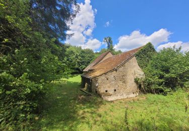 Excursión Senderismo Meix-devant-Virton - rando gerouville 6-07-2023 - Photo