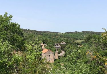Trail Walking Millau - Le cun nant - Photo