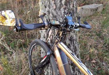 Trail Electric bike Neuvéglise-sur-Truyère - boucle Montbrun confinement  - Photo