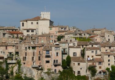 Percorso A piedi Tourrettes-sur-Loup - Circuit de Pié Martin - Photo