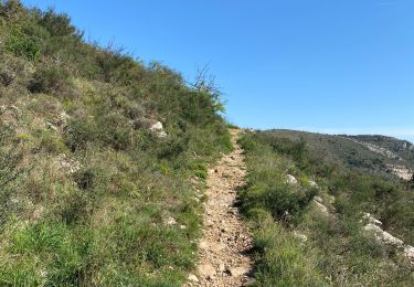 Tour sport Vence - Col de vence 06 - Photo