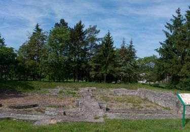 Tour Zu Fuß Diemeringen - Mackwiller la romaine - Photo