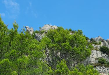 Tocht Stappen La Roquebrussanne - La Roquebrussane la cheminée  de la Loube - Photo