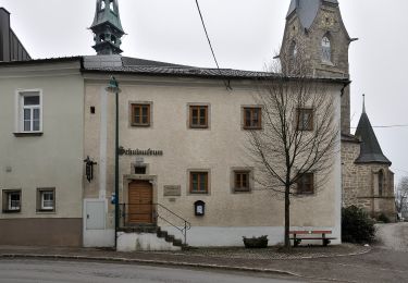 Trail On foot Bad Leonfelden - Waldschenke Runde - Photo