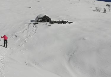Trail Snowshoes Bagnères-de-Bigorre - Courcaou de la Lit - Photo