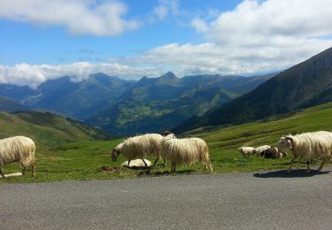 Tour Zu Fuß Béost - Les crêtes d’Andreyt - Photo