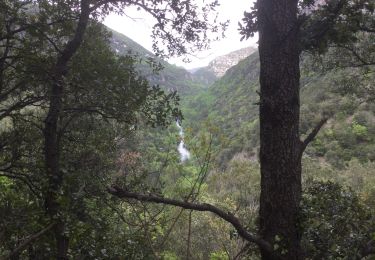 Tour Wandern Rogues - 34 le roc du saut du loup 2/05/22 - Photo