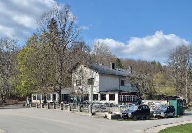 Tocht Te voet Gemeinde Furth an der Triesting - Steinwandgraben - Pogra - Berg - Steinwandklamm - Photo