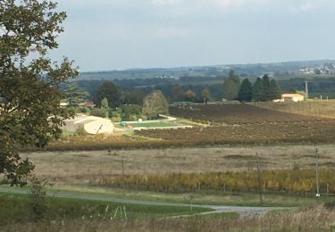 Trail Walking Soussac - Soussac butte de launay - Photo