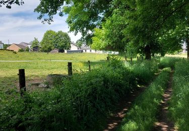 Tour Wandern Bastnach - Lutrebois 030622 - Photo