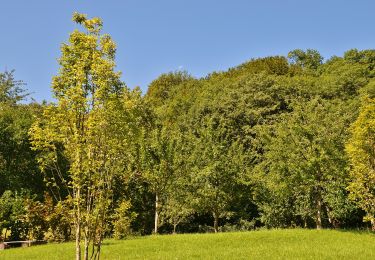 Randonnée A pied Gomadingen - Weilheim Rundweg 68 - Photo