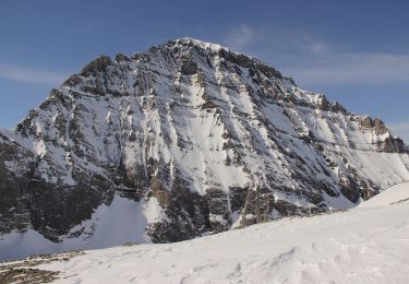 Excursión A pie Kandersteg - Gfelalp - Lötschenpass - Photo