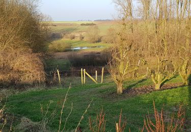 Tocht Te voet Hoegaarden - Natuurpunt Meldert Mene-Jordaanvallei - Photo